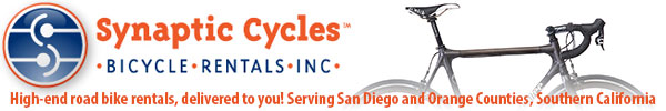 synaptic cycles