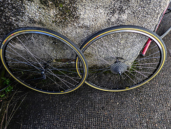 condor cycles handbuilt canpagnolo/mavic wheelset