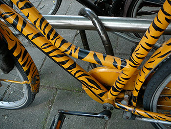 tiger paint scheme