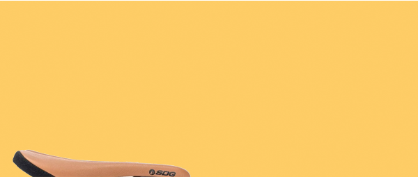 saddle
