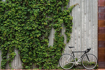 state bicycle co. 4130 road bike