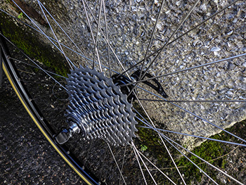 condor cycles handbuilt canpagnolo/mavic wheelset