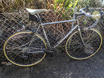 condor cycles handbuilt campagnolo/mavic wheelset