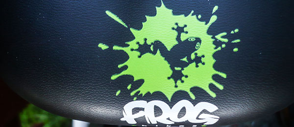 frog bikes 55