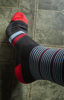 hoy vulpine stripey sock