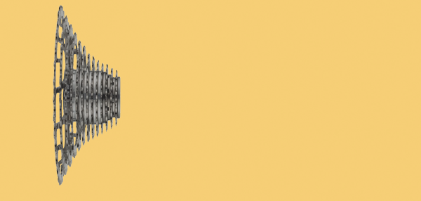 campagnolo 13 cassette