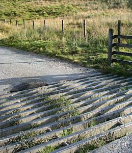 cattle grid