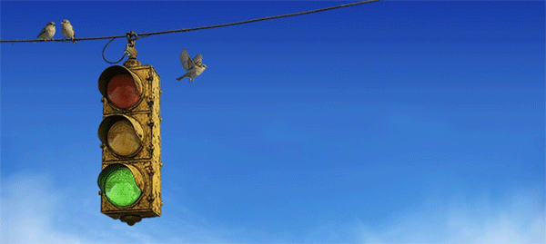 rush over fifty tour